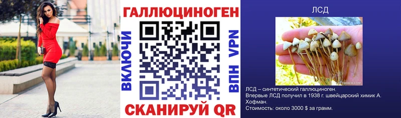 Псилоцибиновые грибы Cubensis  Керчь 