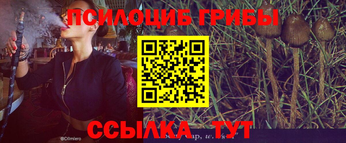 Псилоцибиновые грибы прущие грибы  купить   Галлюциногенные грибы Psilocybine cubensis  Керчь  Вход с VPN 